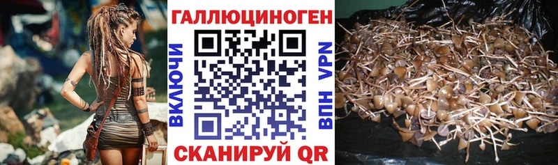 Псилоцибиновые грибы прущие грибы Алексин